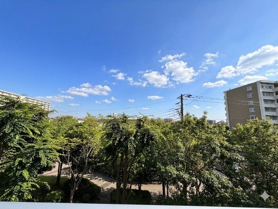 apartment 東京都葛飾区新小岩１丁目51－18 第二クレールパル　1F