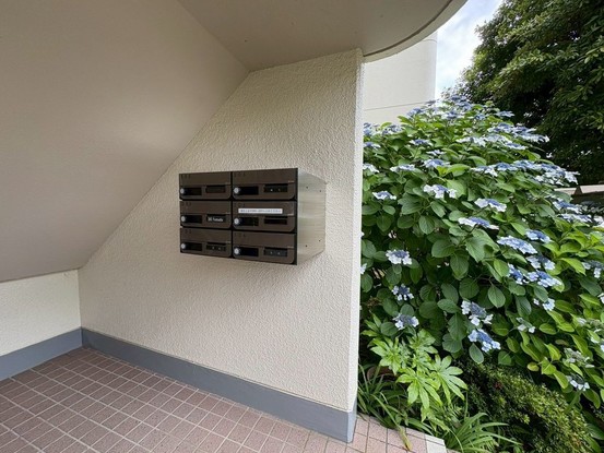 apartment 東京都葛飾区新小岩１丁目51－18 第二クレールパル　1F