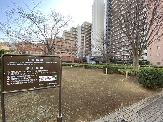 apartment 東京都葛飾区新小岩１丁目51－18 第二クレールパル　1F
