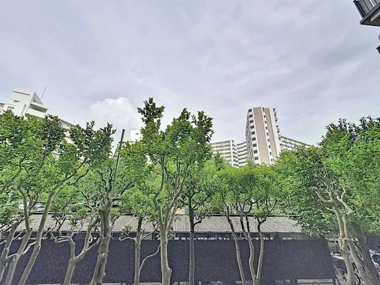 apartment 東京都葛飾区新小岩１丁目51－18 第二クレールパル　1F