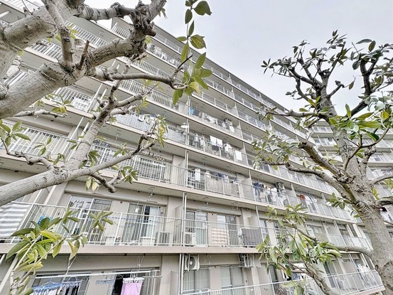 apartment 東京都葛飾区新小岩１丁目51－18 第二クレールパル　1F