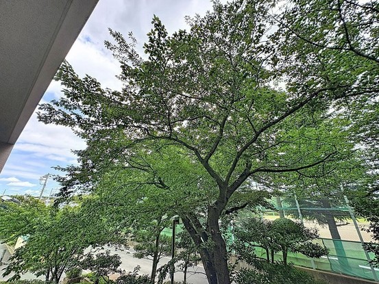 apartment 東京都葛飾区新小岩１丁目51－18 第二クレールパル　1F