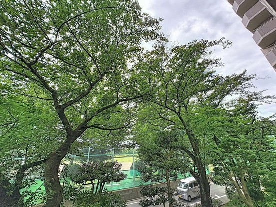 apartment 東京都葛飾区新小岩１丁目51－18 第二クレールパル　1F