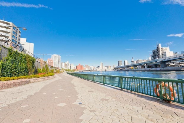 apartment 東京都葛飾区新小岩１丁目51－18 第二クレールパル　1F