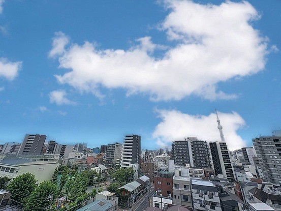 apartment 東京都葛飾区新小岩１丁目51－18 第二クレールパル　1F