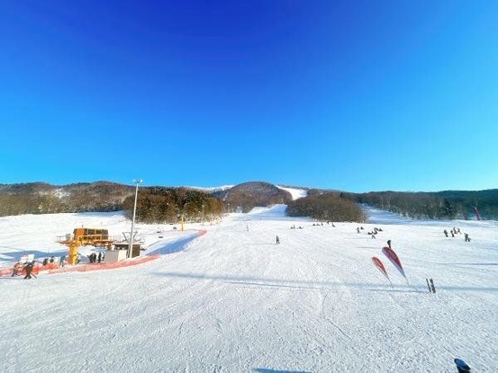 detached 北海道旭川市一条通１６丁目540-3 1-16 事務所 1号室