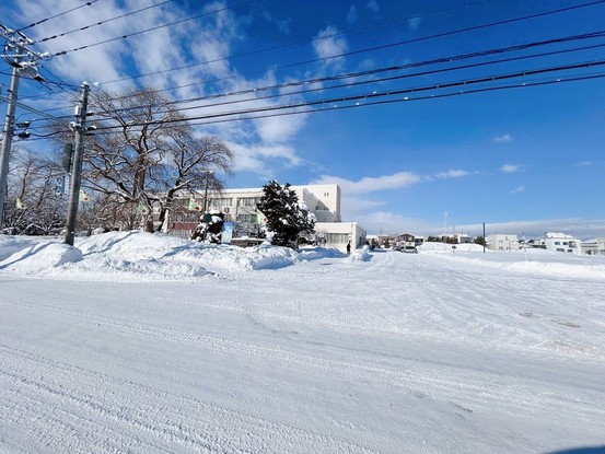 detached 北海道旭川市一条通１６丁目540-3 1-16 事務所 1号室