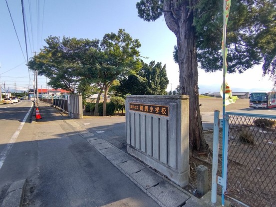 detached 岩手県盛岡市三本柳10地割56番7 第三ミネルバビル 1階 B号室
