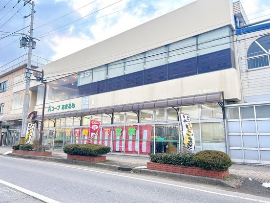 detached 山形県東田川郡庄内町余目字町
地図を見る