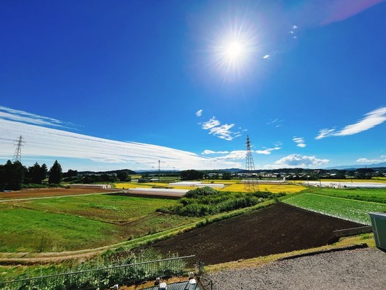 detached 福島県西白河郡矢吹町文京町
地図を見る