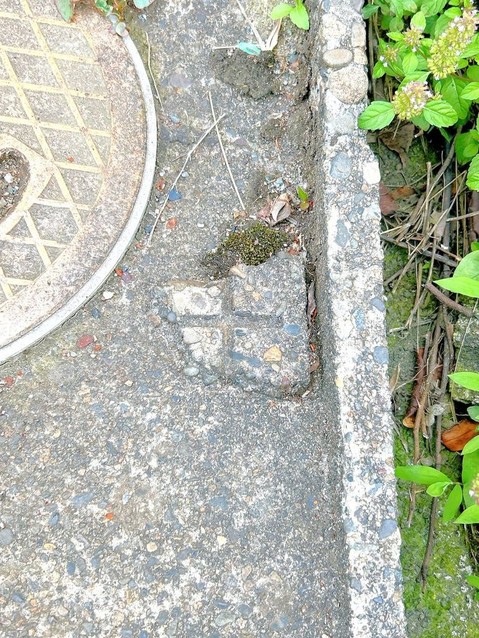 detached 新潟県三島郡出雲崎町大字川西
地図を見る
