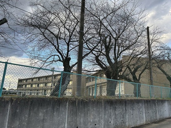 detached 茨城県つくば市上横場253-1 M.Iビル 2-A号室