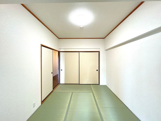 apartment 茨城県つくば市上横場253-1 M.Iビル 2-A号室