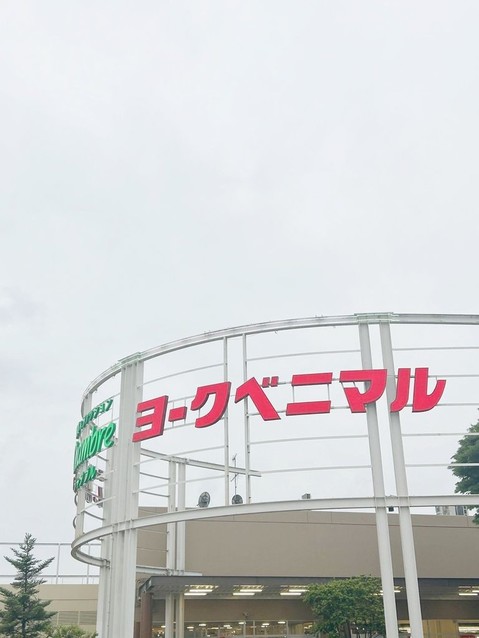 detached 栃木県河内郡上三川町大字ゆうきが丘
地図を見る