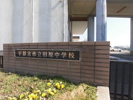 apartment 栃木県宇都宮市立伏町
地図を見る
