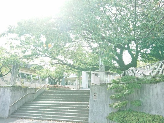 detached 長野県上伊那郡宮田村大原
地図を見る