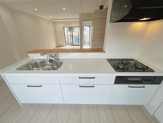 townhouse 静岡県静岡市駿河区下島114 蔵敷ビル 2階 1号室