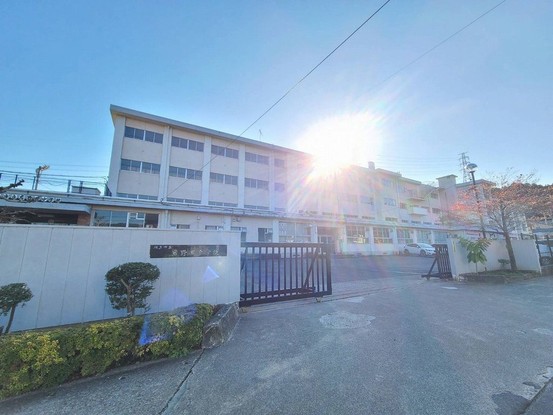 detached 岐阜県岐阜市鏡島精華１丁目3番17号 岐陽第一ビル7階 北側