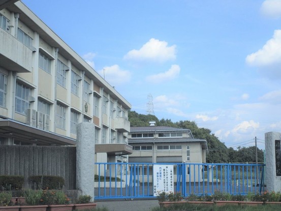 detached 岐阜県岐阜市鏡島精華１丁目3番17号 岐陽第一ビル7階 北側