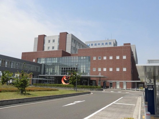 detached 岐阜県岐阜市鏡島精華１丁目3番17号 岐陽第一ビル7階 北側