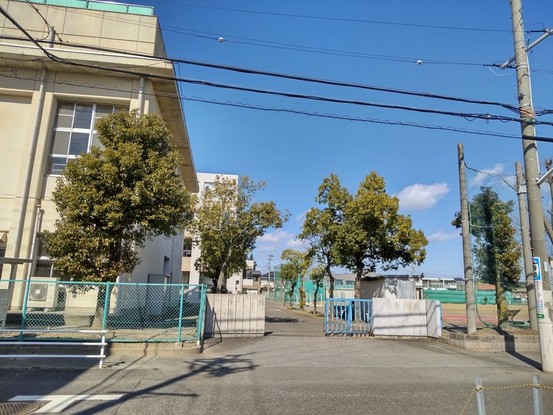 detached 岐阜県大垣市高屋町３丁目38 高屋町エムサビル 2階