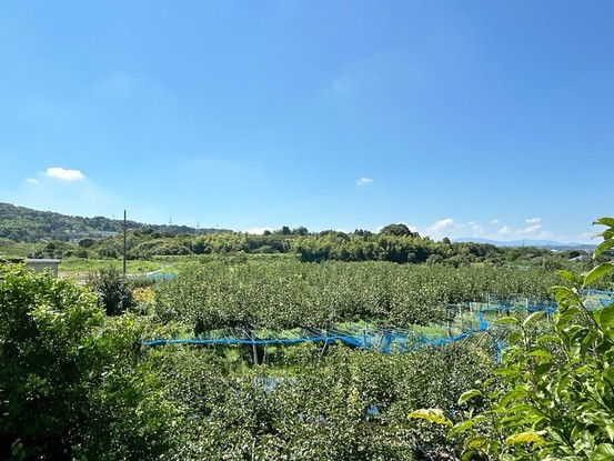 detached 富山県富山市住吉
地図を見る