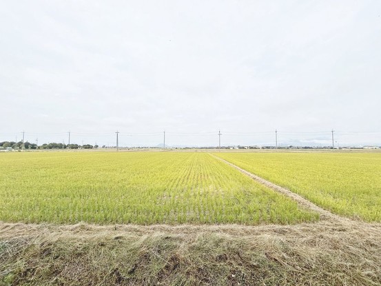 detached 滋賀県彦根市小泉町300番地9 サンロードビルⅡ 403号室