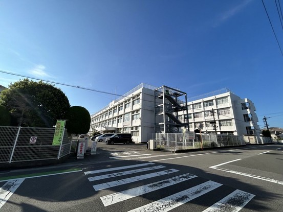 detached 徳島県板野郡松茂町中喜来字福有開拓
地図を見る