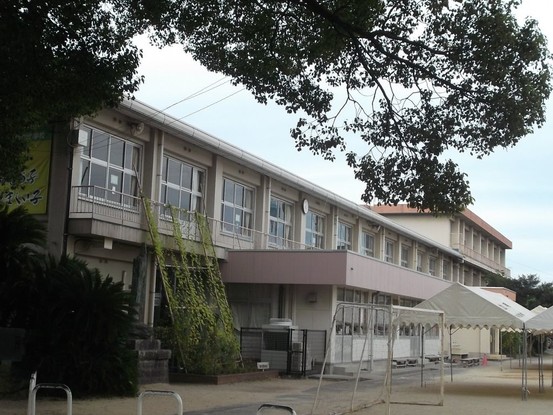 apartment 大分県大分市大字津守64番1 第五奈良勘ビル 105号室