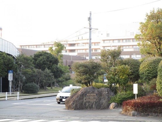 detached 大分県大分市大字津守64番1 第五奈良勘ビル 105号室