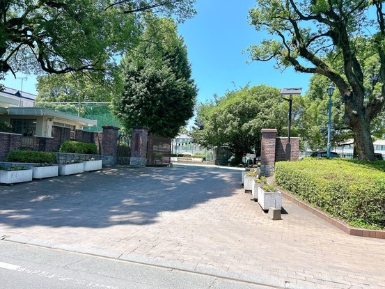 apartment 熊本県熊本市中央区帯山６丁目3-37 ペアレンツ坂本 2-A
