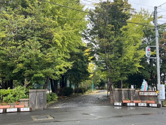 detached 熊本県水俣市梅戸町２丁目
地図を見る