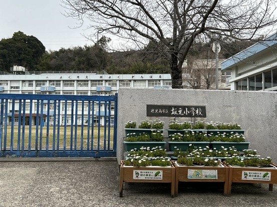 detached 鹿児島県鹿児島市新照院町6-5 永吉ビル 201号室