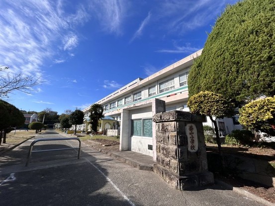 detached 鹿児島県鹿児島市新照院町6-5 永吉ビル 201号室