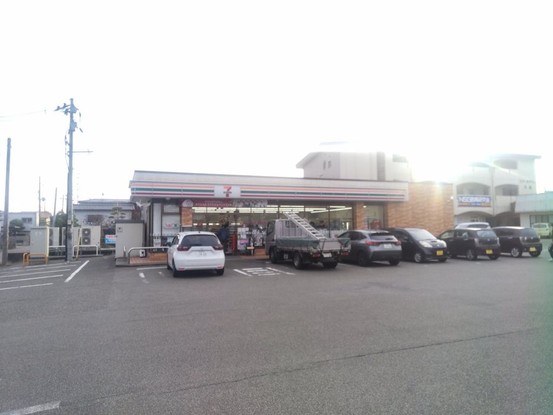 detached 新潟県燕市井土巻3丁目30 ウェルタウンⅣ 102号室