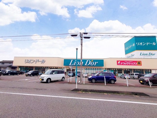 detached 新潟県燕市井土巻3丁目30 ウェルタウンⅣ 102号室