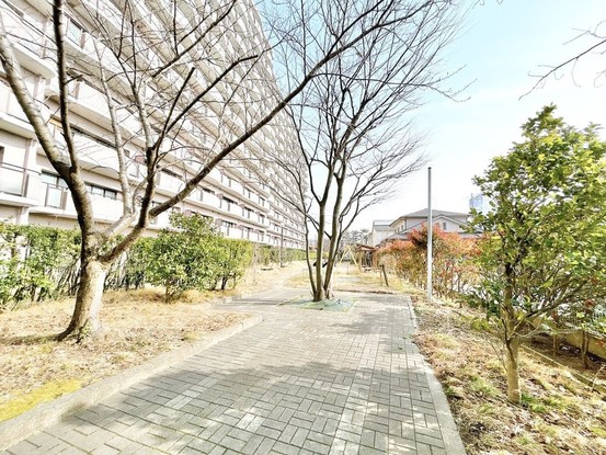 apartment 新潟県新潟市中央区小張木3丁目10-25