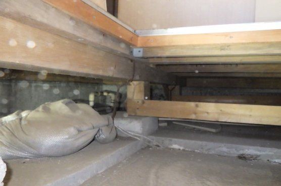 detached 埼玉県東松山市大字宮鼻1029-2 高坂貸店舗