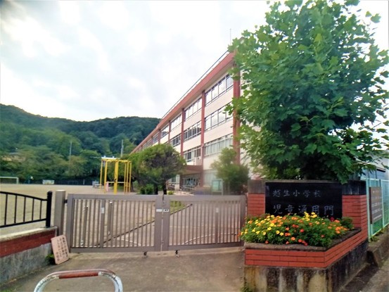 detached 埼玉県東松山市大字宮鼻1029-2 高坂貸店舗