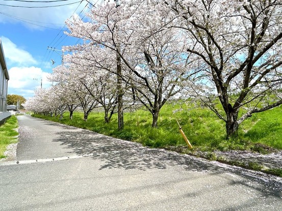 detached 熊本県上益城郡御船町大字小坂
地図を見る