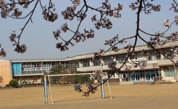detached 茨城県つくば市上横場253‐1 M.Iビル 2‐A号室