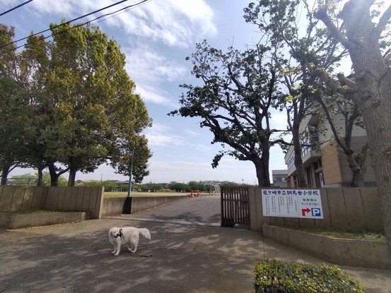 detached 茨城県つくば市上横場253‐1 M.Iビル 2‐A号室