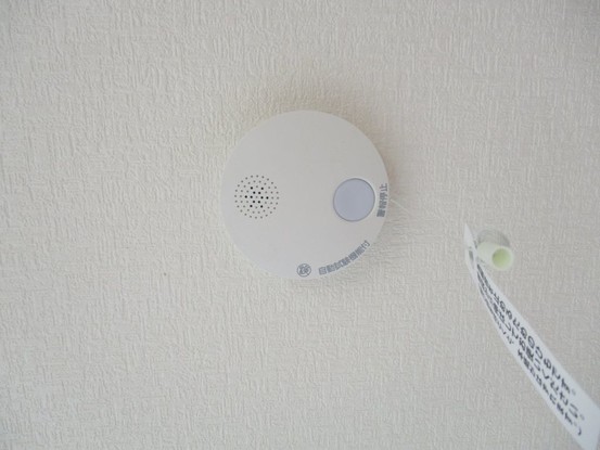detached 宮城県仙台市青葉区木町通２丁目1-33 伊澤竹に雀ビル 212号室