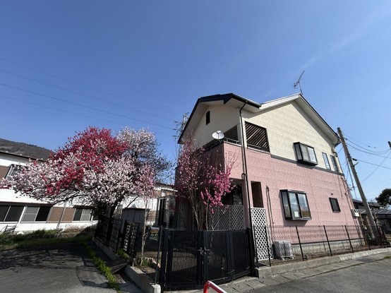 detached 静岡県静岡市駿河区下島114 蔵敷ビル2階 1号室