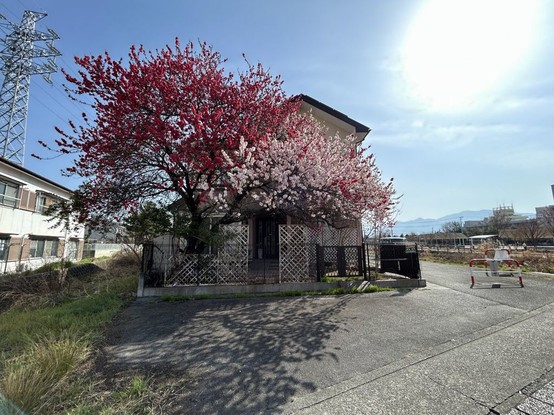 detached 静岡県静岡市駿河区下島114 蔵敷ビル2階 1号室