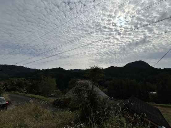 detached 大分県中津市中殿町３丁目1番地1 グリーンパレス中津壱番館 1階 102号