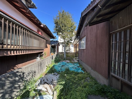detached 大分県中津市中殿町３丁目1番地1 グリーンパレス中津壱番館 1階 102号