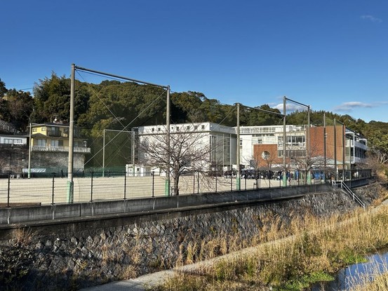 townhouse 大分県中津市中殿町３丁目1番地1 グリーンパレス中津壱番館 1階 102号