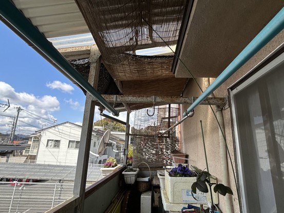 detached 大分県中津市中殿町３丁目1番地1 グリーンパレス中津壱番館 1階 102号
