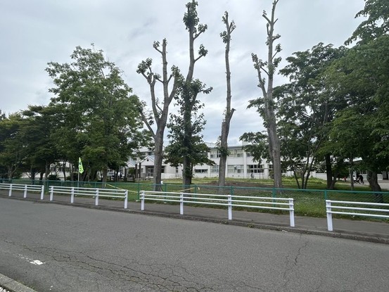detached 北海道苫小牧市緑町１丁目22番2号 緑町事務所・店舗（向かって左側）